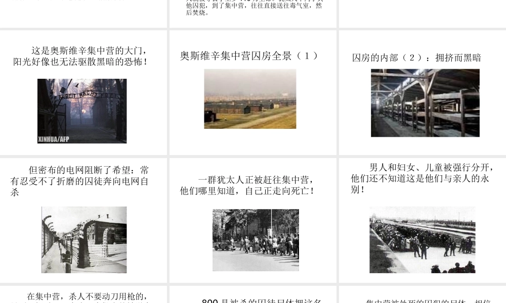 高中语文：4102(奥斯维辛没有什么新闻)课件(3)(新人教版必修1) 课件