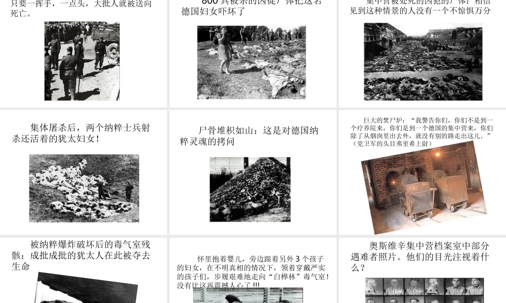 高中语文：4102(奥斯维辛没有什么新闻)课件(3)(新人教版必修1) 课件