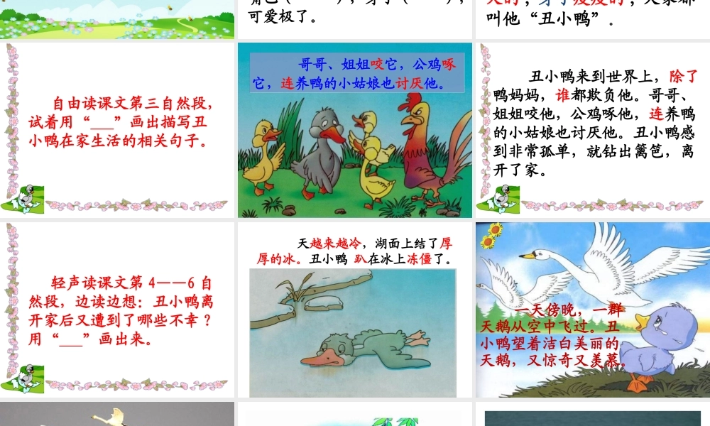 28丑小鸭(公开课)[1]