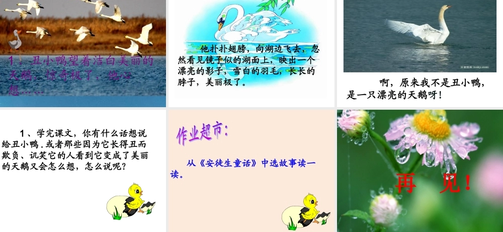 28丑小鸭(公开课)[1]