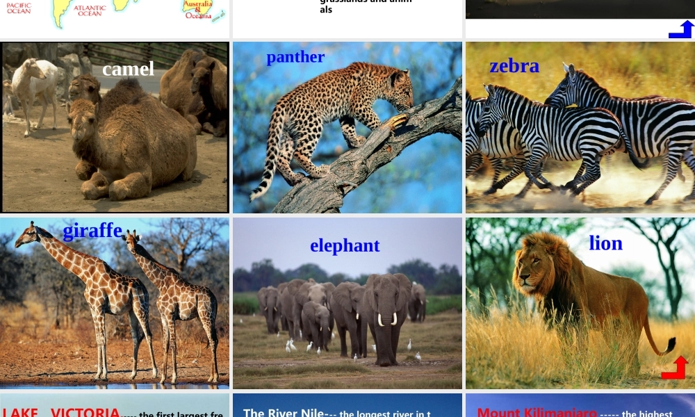 高一英语 Unit2 An adventure in Africa-Reading ppt 课件