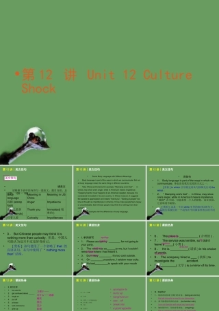 高考英语 第12_讲_Unit_12_Culture_Shock课件 北师大版必修4 课件