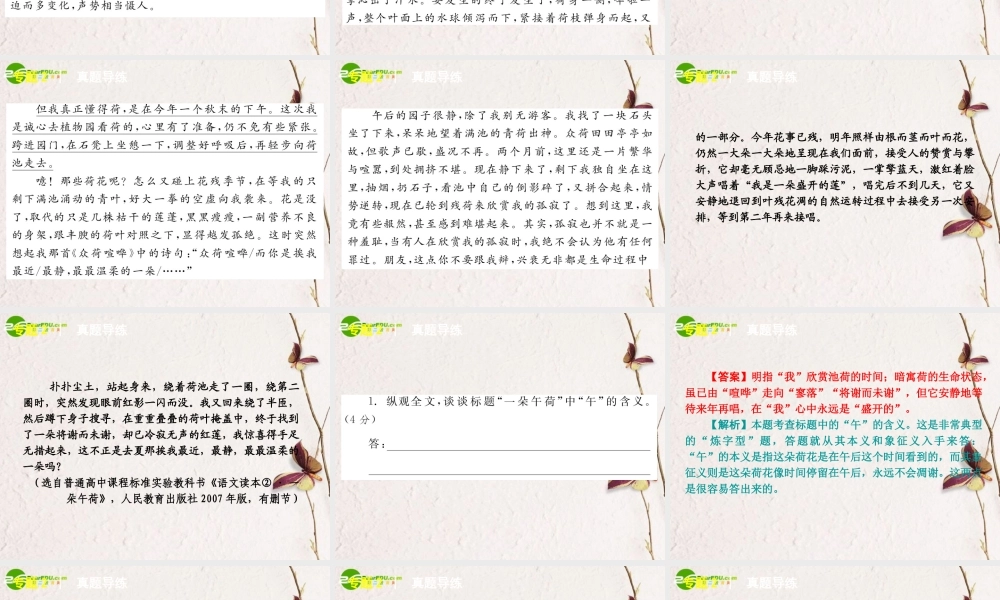高考语文二轮 文学类文本阅读专题课件