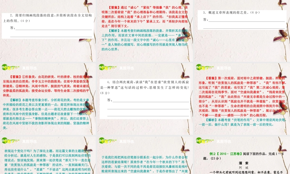 高考语文二轮 文学类文本阅读专题课件