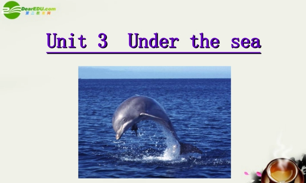 高中英语 unit3 Under the sea-----Reading 人教新目标版选修7 课件