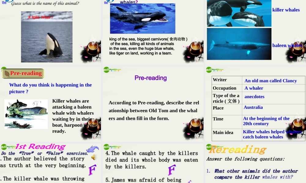 高中英语 unit3 Under the sea-----Reading 人教新目标版选修7 课件