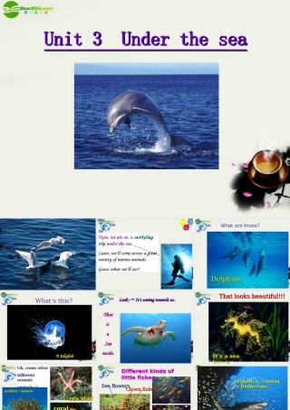 高中英语 unit3 Under the sea-----Reading 人教新目标版选修7 课件