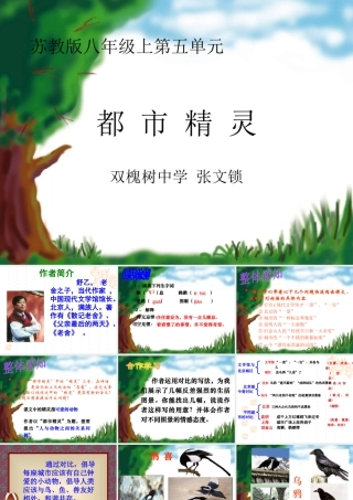 都市精灵-(2)