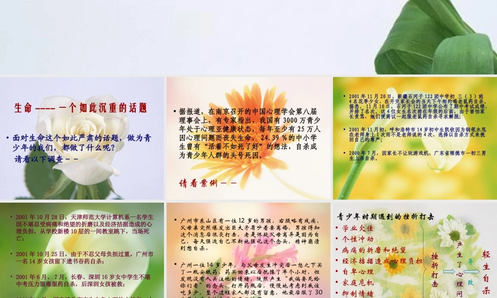 高中语文 呼唤生命  教育课件 粤教版必修4 课件