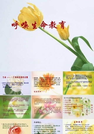 高中语文 呼唤生命  教育课件 粤教版必修4 课件