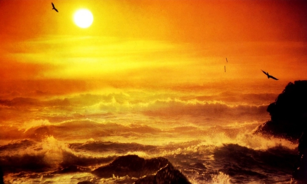 高中语文(我为什么而活着)精品课件 苏教版必修5 课件