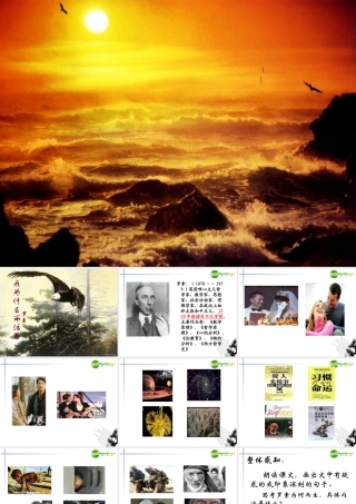 高中语文(我为什么而活着)精品课件 苏教版必修5 课件