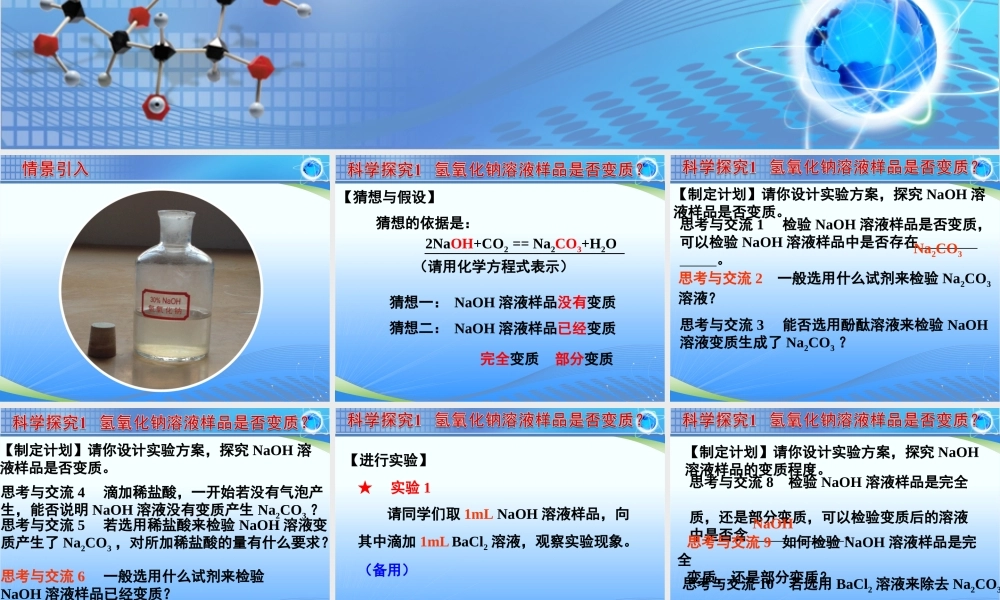 初中化学课件《物质变质问题探究》