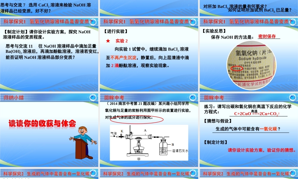 初中化学课件《物质变质问题探究》