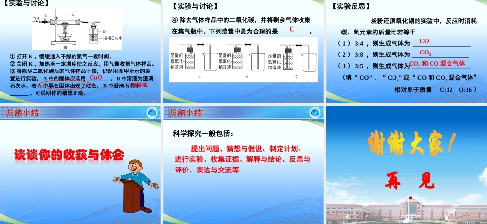 初中化学课件《物质变质问题探究》