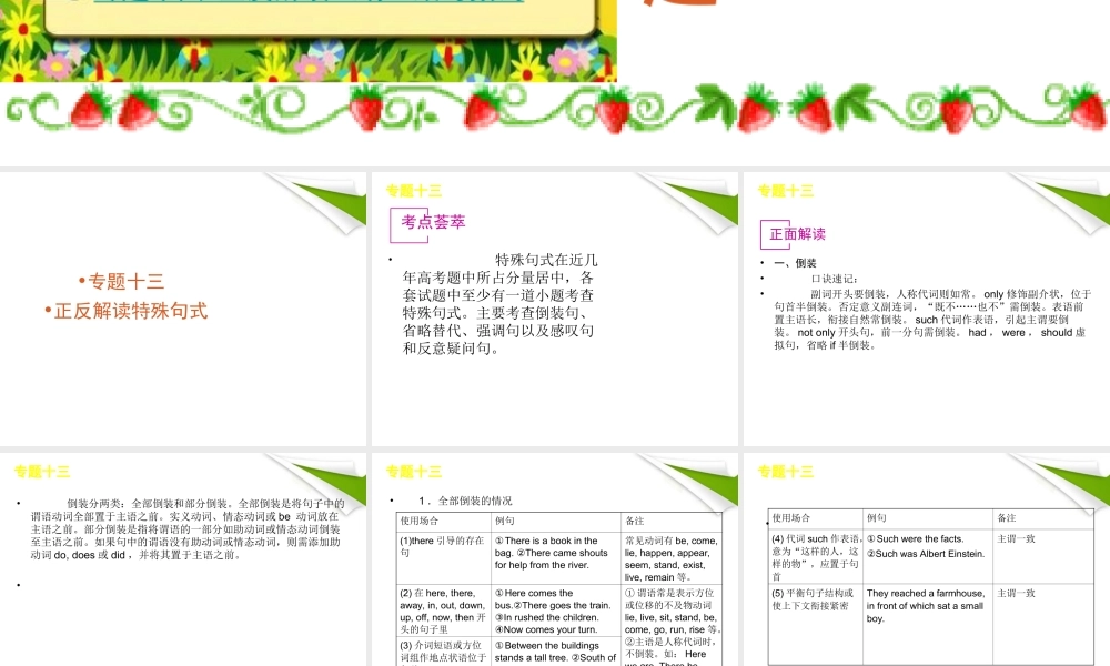 高考英语一轮复习 精品语法课件 专题13 正反解读特殊句式 新人教版 课件