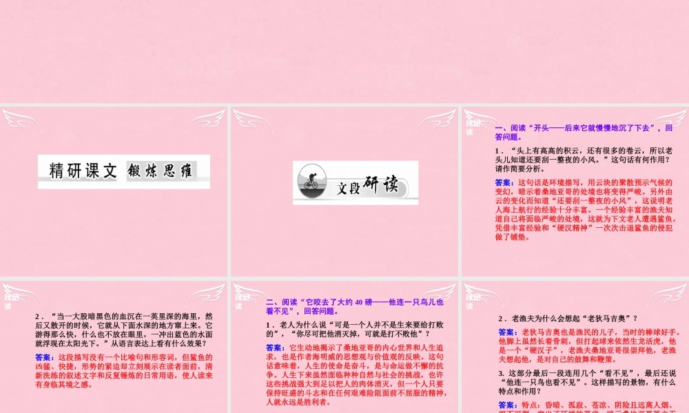 高中语文第一单元3老人与海课件新人教版必修3 课件