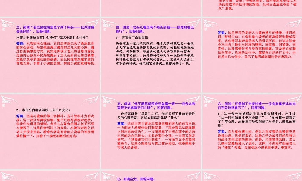 高中语文第一单元3老人与海课件新人教版必修3 课件