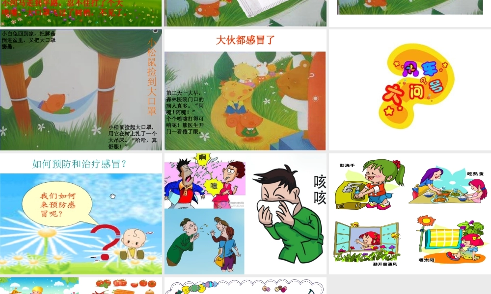 大班语言活动《小河马的大口罩》