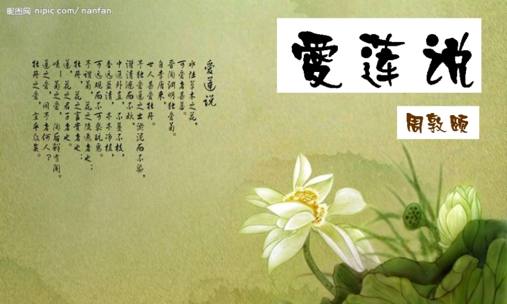 爱莲说正式课件