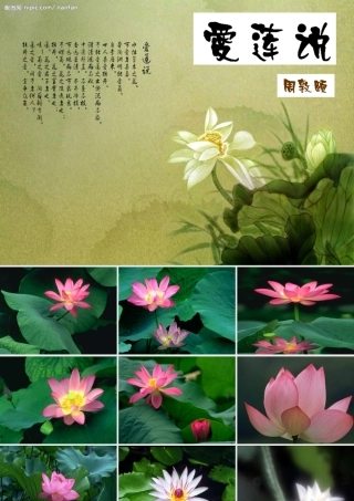 爱莲说正式课件
