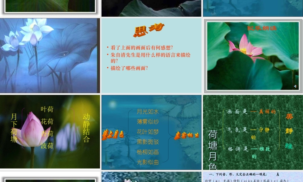 高中语文课件—荷塘月色新课标人教版必修2 课件