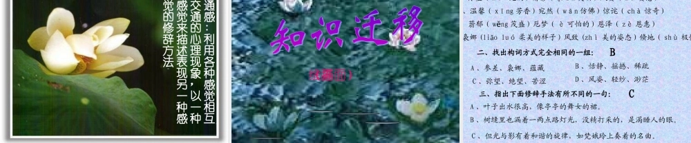 高中语文课件—荷塘月色新课标人教版必修2 课件