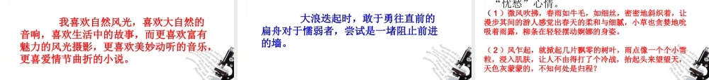 高考语文 常见常用修辞手法复习课件