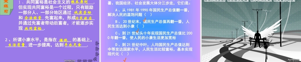 走向共同富裕的道路第七课第二框 课件