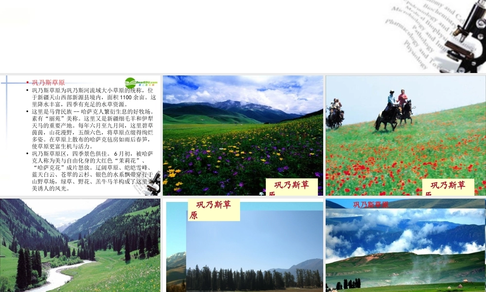 高中语文 第一单元第3课(巩乃斯的马)课件 粤教版必修3 课件