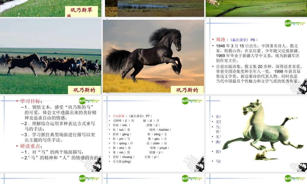 高中语文 第一单元第3课(巩乃斯的马)课件 粤教版必修3 课件