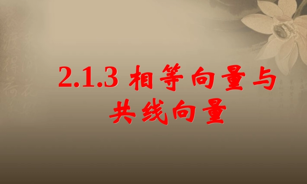 高一数学 212相等向量与共线向量课件