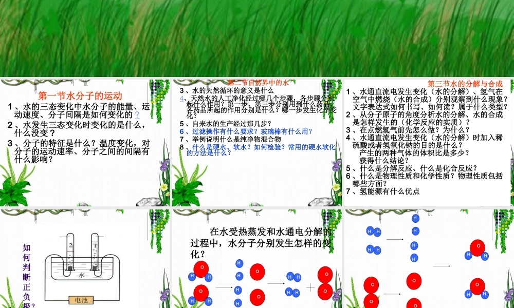 第二单元---探秘水世界--复习