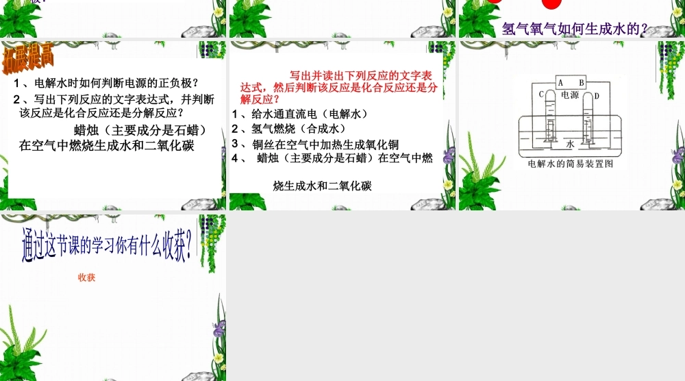 第二单元---探秘水世界--复习