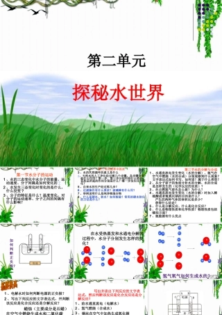第二单元---探秘水世界--复习