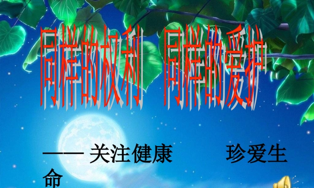 3.2同样的权利同样的爱护