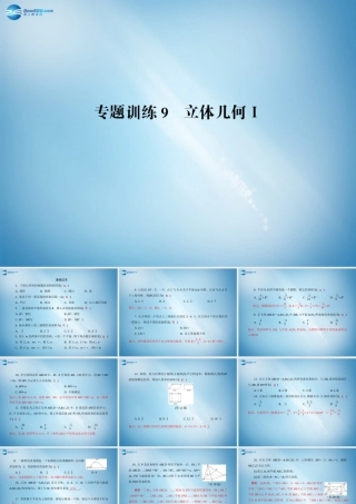 高二数学 专题训练9 立体几何配套课件