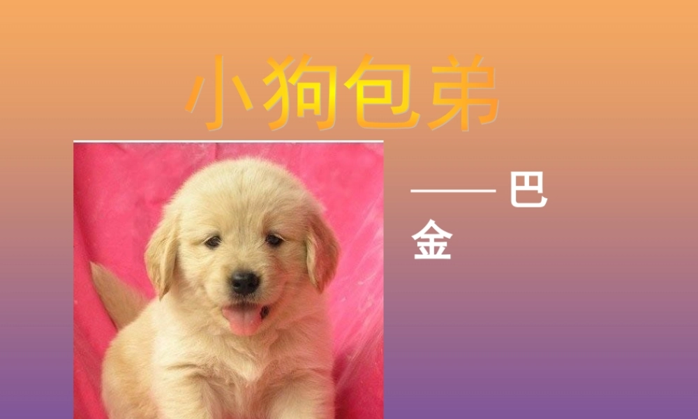 高中语文8小狗包弟课件新人教版必修1
