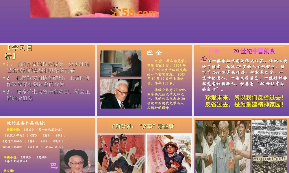 高中语文8小狗包弟课件新人教版必修1