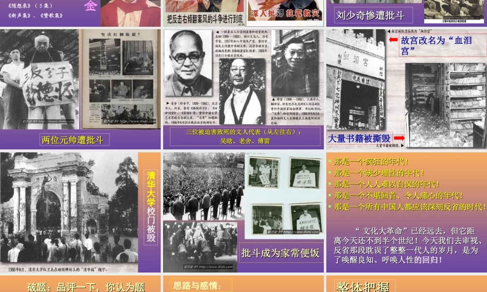 高中语文8小狗包弟课件新人教版必修1