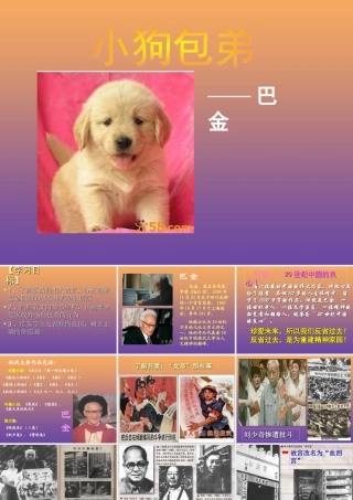 高中语文8小狗包弟课件新人教版必修1