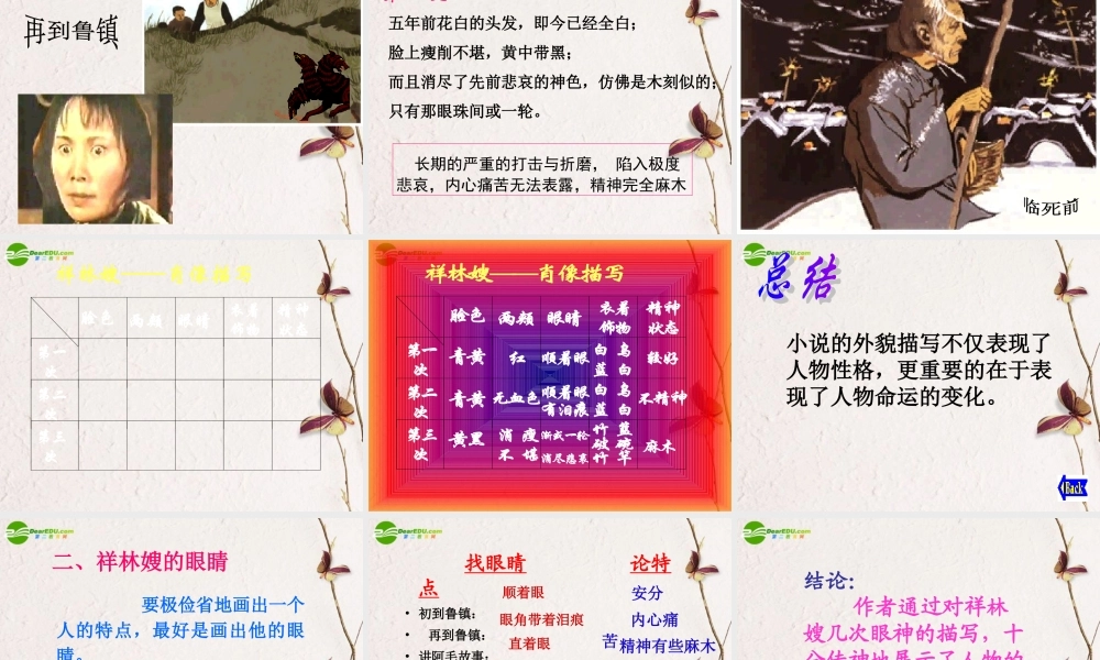 高中语文(祝福)课件 新人教版必修3 课件