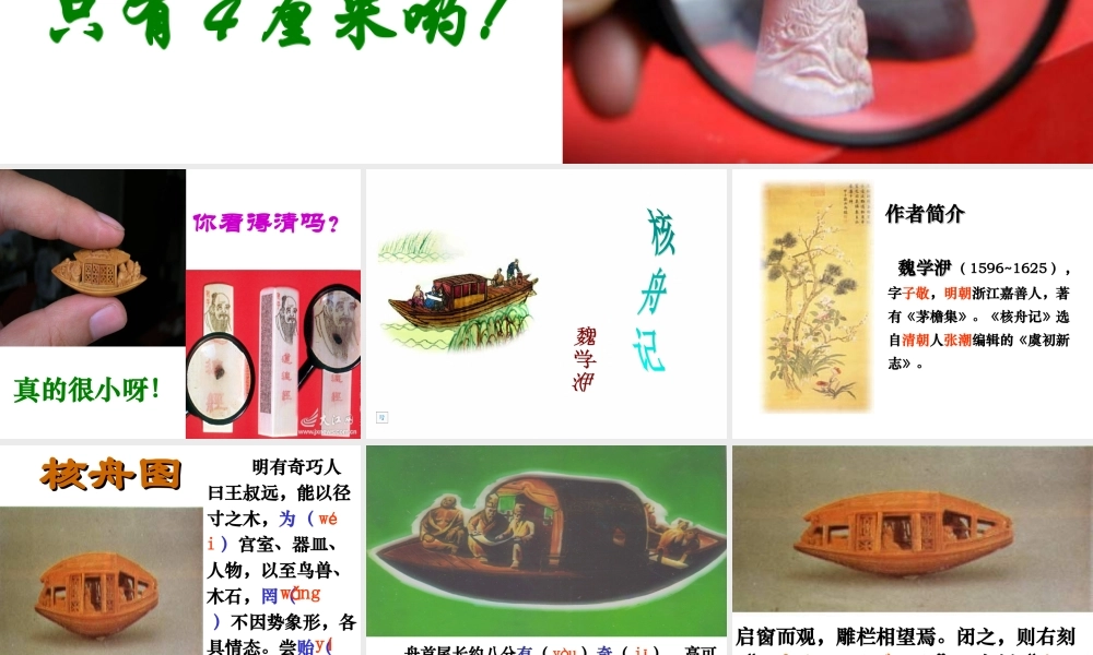 高中语文(核舟记)课件人教版 课件