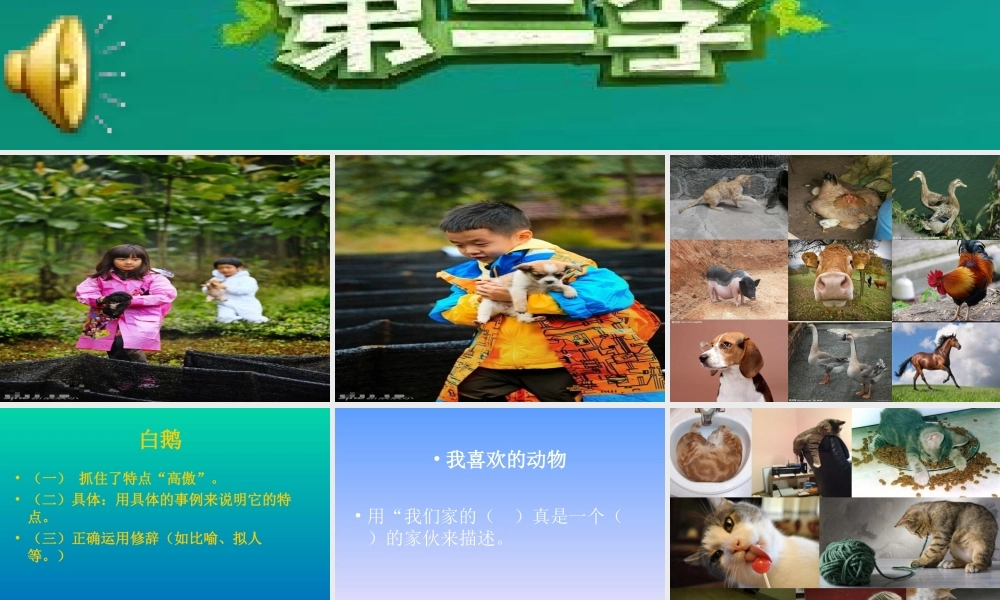 我喜欢的动物作文教学