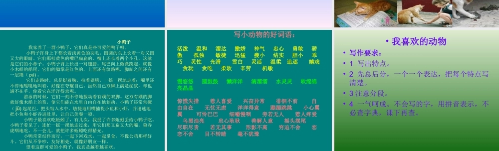 我喜欢的动物作文教学