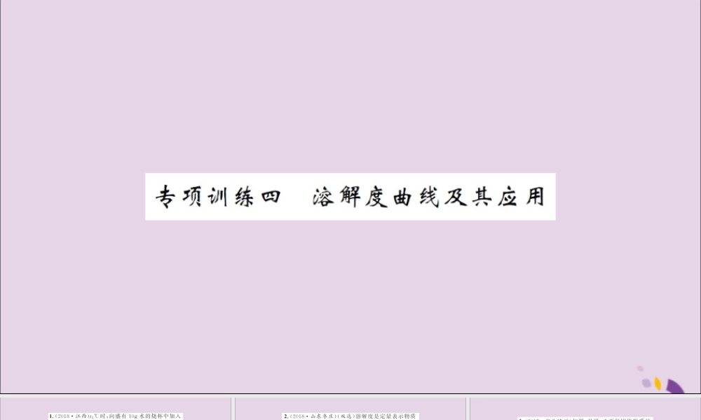 湖北省中考化学一轮复习 专项训练四 溶解度曲线及其应用习题课件