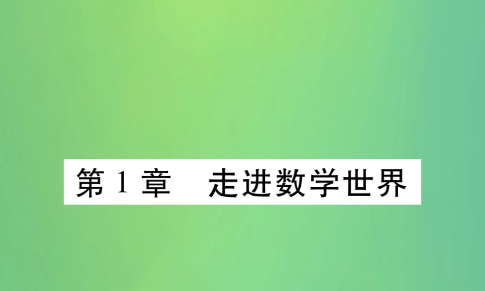 秋七年级数学上册 第1章 走进数学世界练习课件 (新版)华东师大版 课件