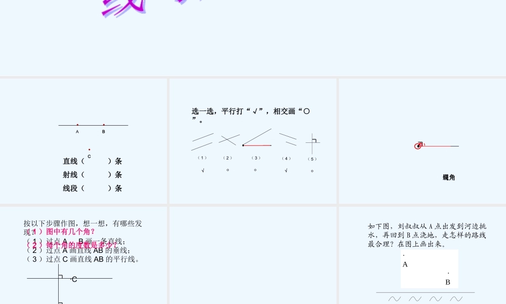 小学数学北师大2011课标版四年级线与角的复习
