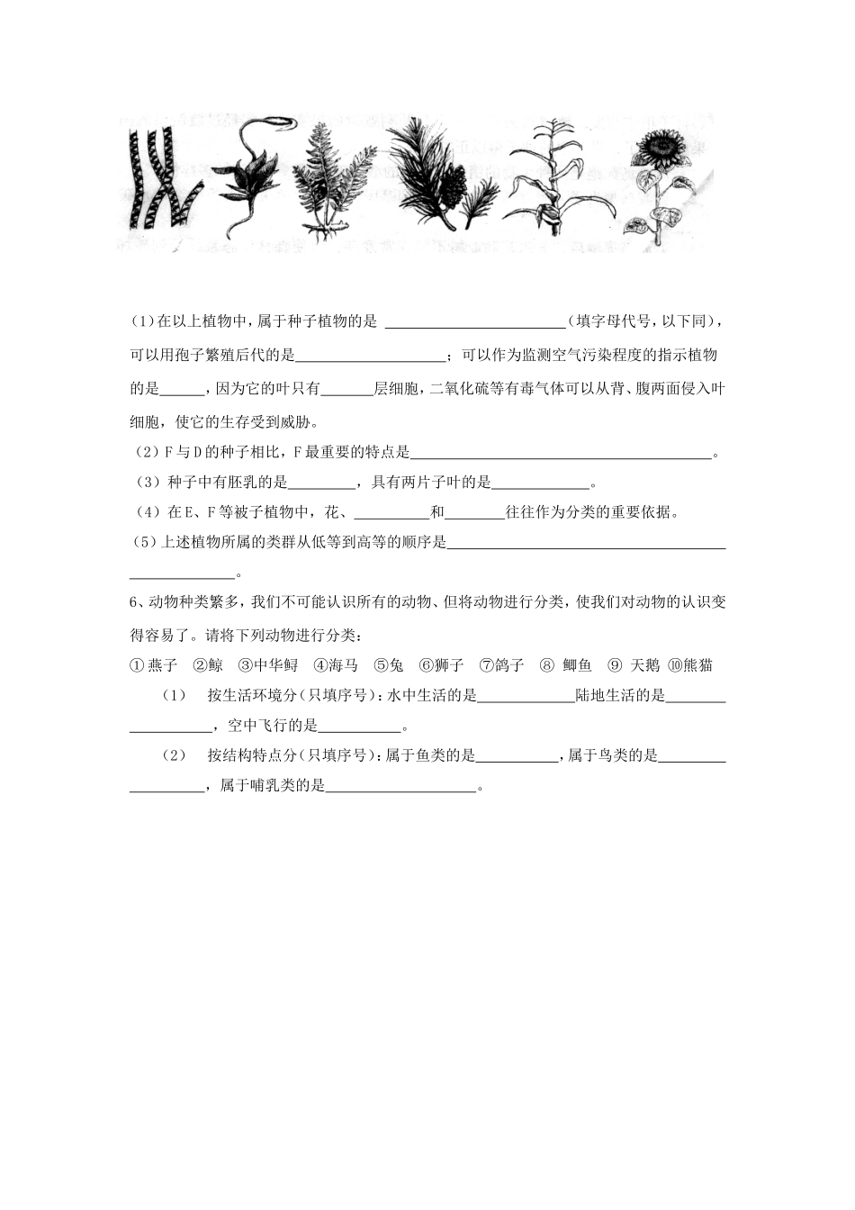 从种到界导学案肖鹏_第2页