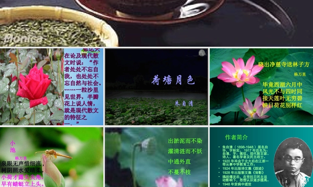 高中语文 第一单元第1课(荷塘月色)课件 新人教版必修2 课件